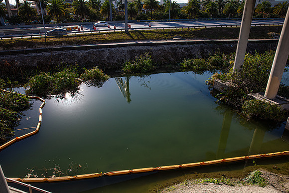 20220207_Connecting_Miami _75A5014