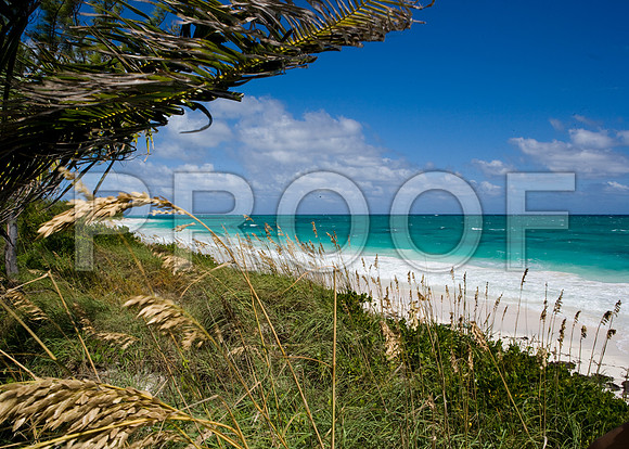 36168_DG_Color_USA_Harbour_Island_Bahamas_Related_GroupZV4N2063