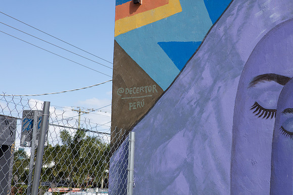 20161108_Wynwood_S5D2987