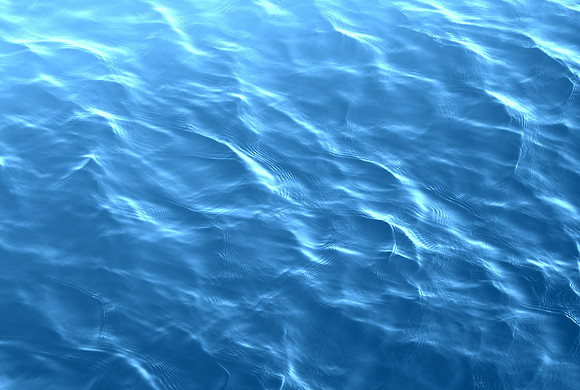 shutterstock_115645333