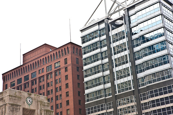 0015_DG_Chicago_USA_2009_5L8Y2908