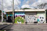 20160812_Wynwood_9C7C0296