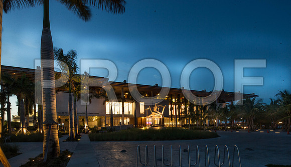 20140821_Pamm_CG3P1039