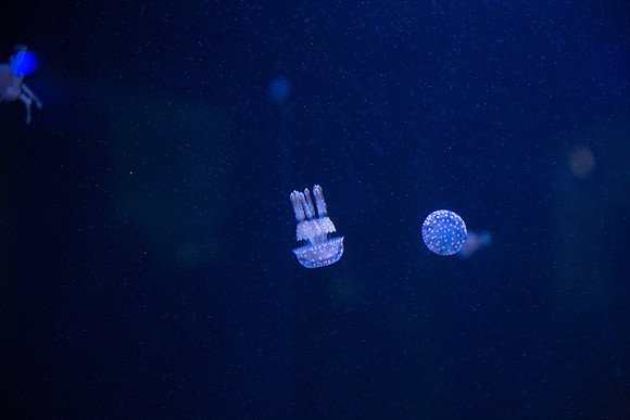 20170508_Science_Museum_9C7C5575