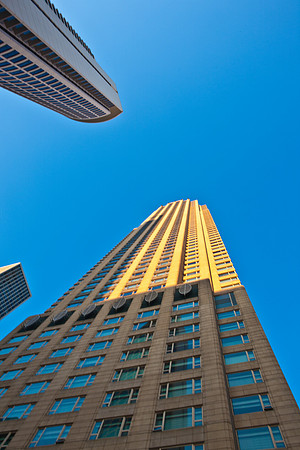 0015_DG_Chicago_USA_2009_5L8Y1701