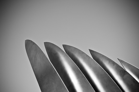 0026_DG_Tiburon_CA_USA_2009_5L8Y1927