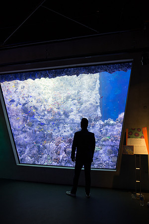 20170508_Science_Museum_9C7C5391