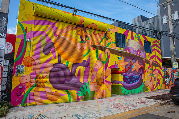 20210409_Wynwood_Miami_75A0447