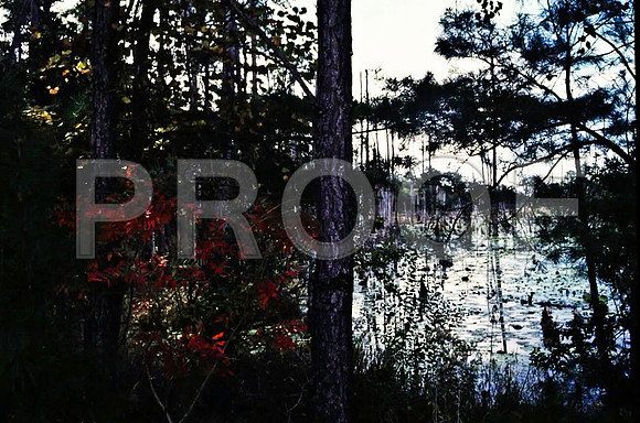 85651_SL_COLOR_PENSACOLA_FL_97_11