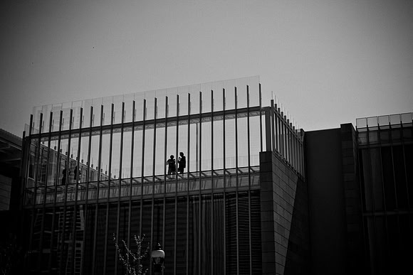 0015_DG_Chicago_USA_2009_5L8Y1143