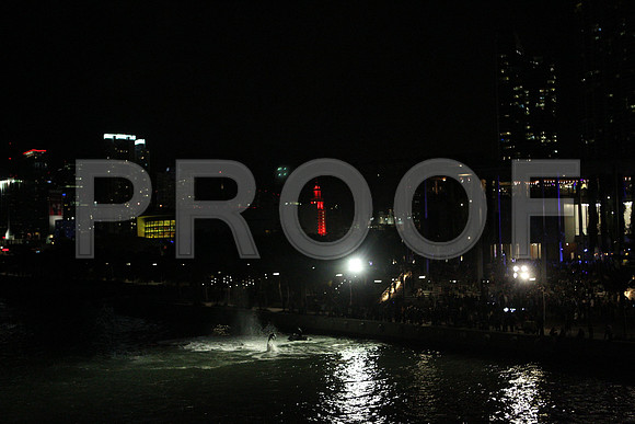 20141204_Pamm_Basel_2014_AL1B6654