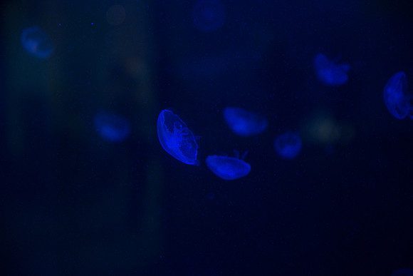 20170508_Science_Museum_9C7C5426