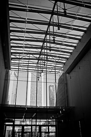 0015_DG_Chicago_USA_2009_5L8Y1132