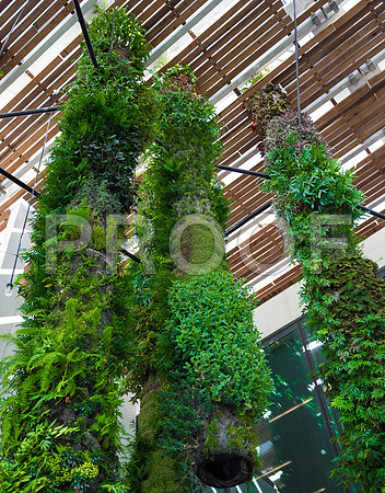 20140801_Pamm_9C7C7869