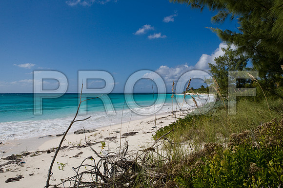 36169_DG_Color_USA_Harbour_Island_Bahamas_Related_GroupZV4N2035