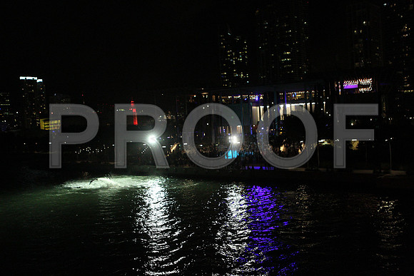 20141204_Pamm_Basel_2014_AL1B6544