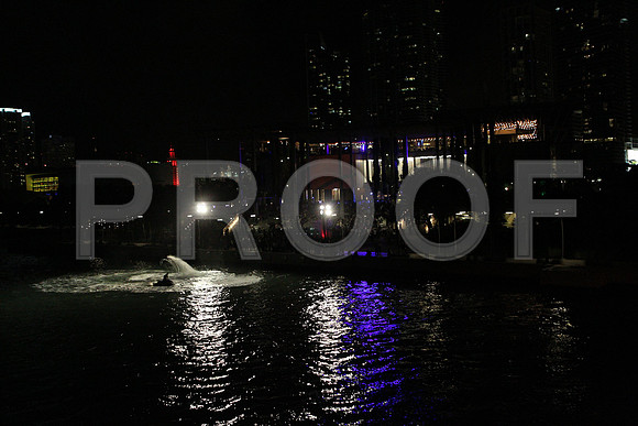 20141204_Pamm_Basel_2014_AL1B6520