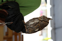 20120224_Scinece_Museum_GroundAL1B8323