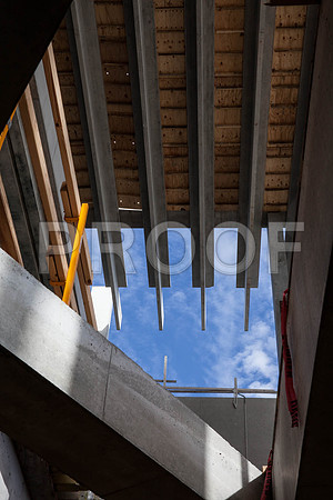 IMG_2956