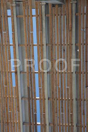 20140801_Pamm_9C7C7931