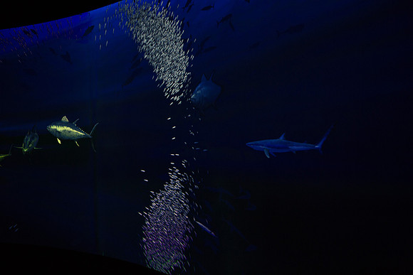 20170508_Science_Museum_9C7C5418