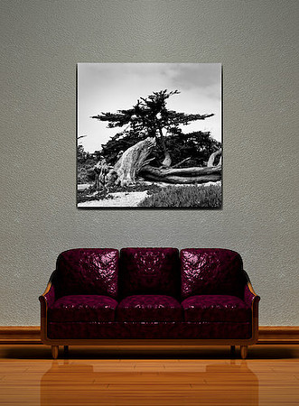LIVING_ROOM_DG_4782
