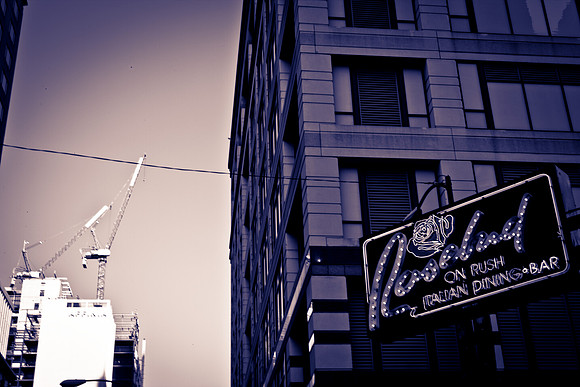 0015_DG_Chicago_USA_2009_5L8Y1598