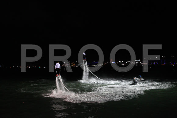 20141204_Pamm_Basel_2014_AL1B6125