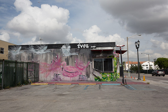 20160708_Wynwood_14_Ave_Demo_9C7C0015
