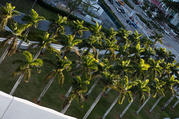 20160217_Museum_Park_Miami_City_Scape_S5A1143