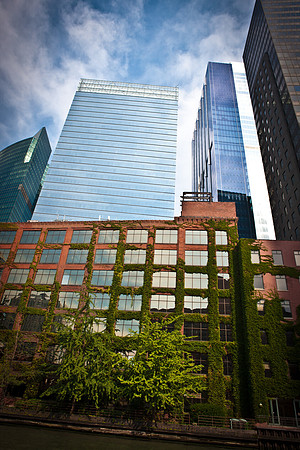 0015_DG_Chicago_USA_2009_5L8Y2690