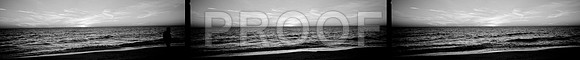 84569_FM_BW_SARASOTA_FL_02_01