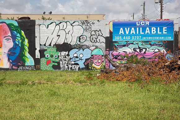 20160804_Wynwood_9C7C0171