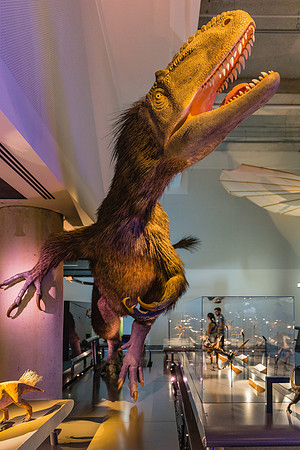 20170508_Science_Museum_9C7C5690