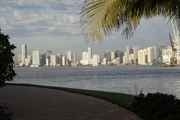 20151104_L1B6321