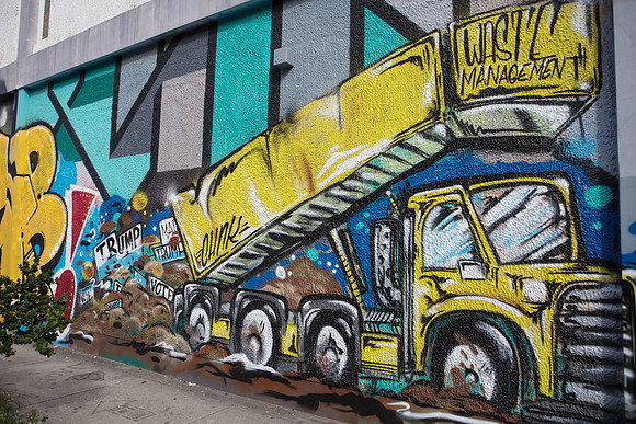 20161108_Wynwood_S5D3135