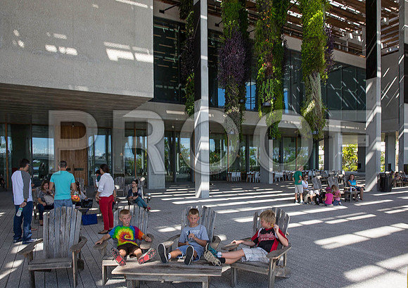20140801_Pamm_9C7C7906