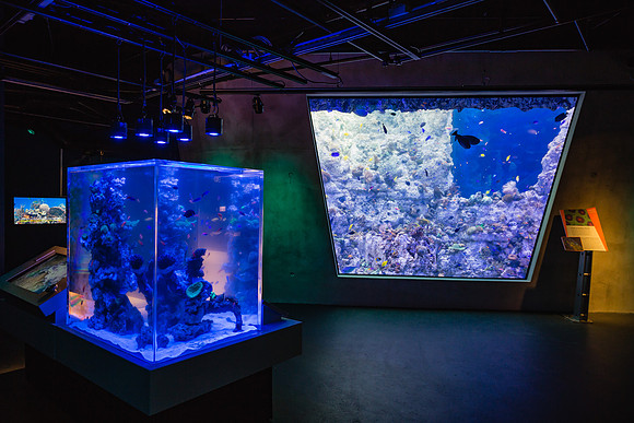 20170508_Science_Museum_9C7C5354