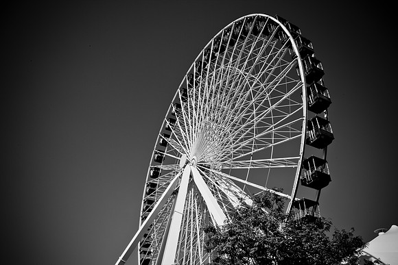 0015_DG_Chicago_USA_2009_5L8Y1423