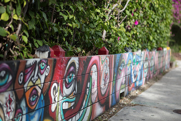 20161108_Wynwood_S5D3223