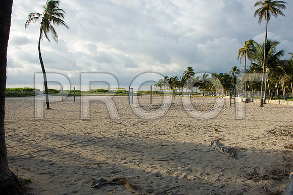 DSC_0006 copy
