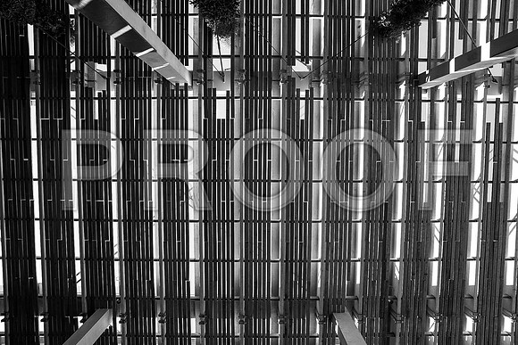 20140801_Pamm_9C7C7872-2