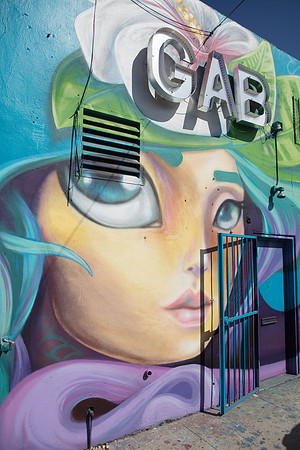 20161108_Wynwood_H5D2709