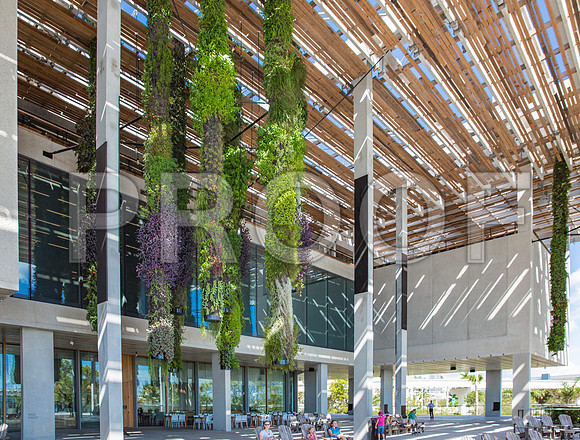 20140801_Pamm_9C7C7914
