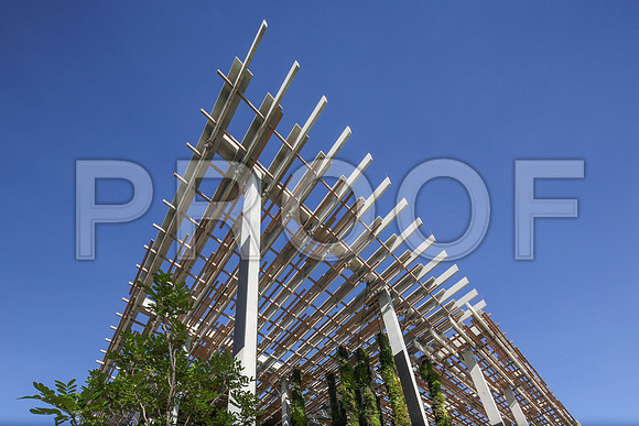 20140806_9C7C9719