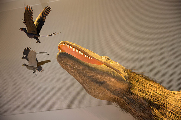20170508_Science_Museum_9C7C5701
