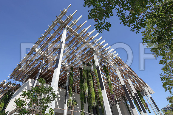 20140806_9C7C9742