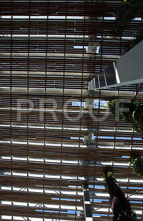 20140801_Pamm_9C7C7870-2