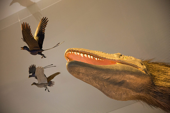 20170508_Science_Museum_9C7C5699