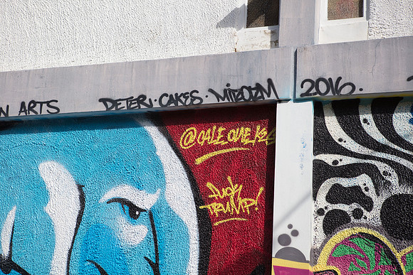 20161108_Wynwood_S5D3144